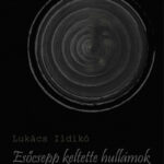LUKÁCS ILDIKÓ: ESŐCSEPP KELTETTE HULLÁMOK