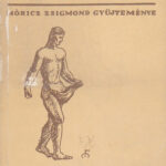 MÓRICZ ZSIGMOND: MAGVETŐ (A magyar irodalom élő könyve)